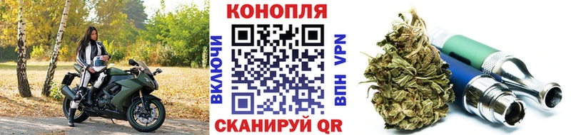 Канабис планчик  KRAKEN онион  Россошь 